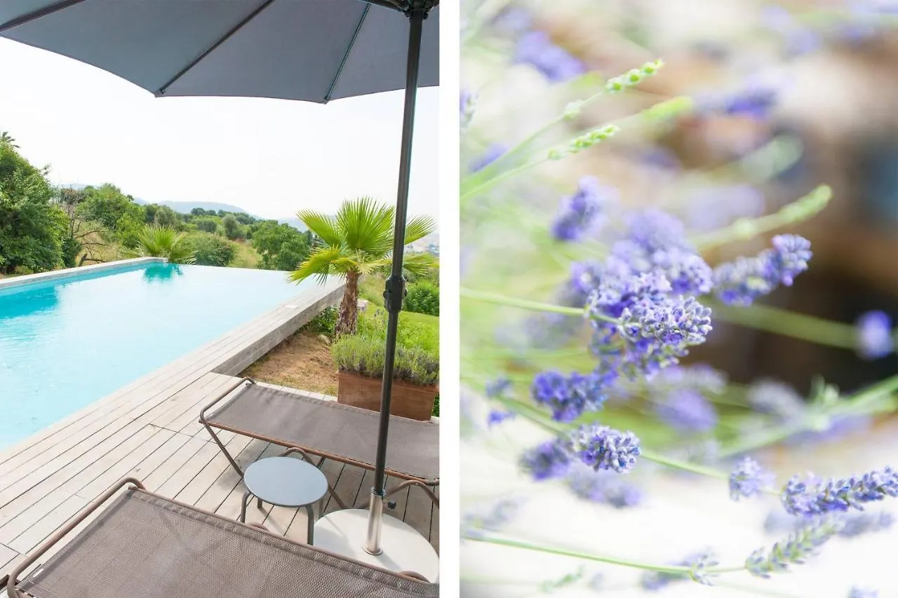 Amazing Modern Villa In Nice France